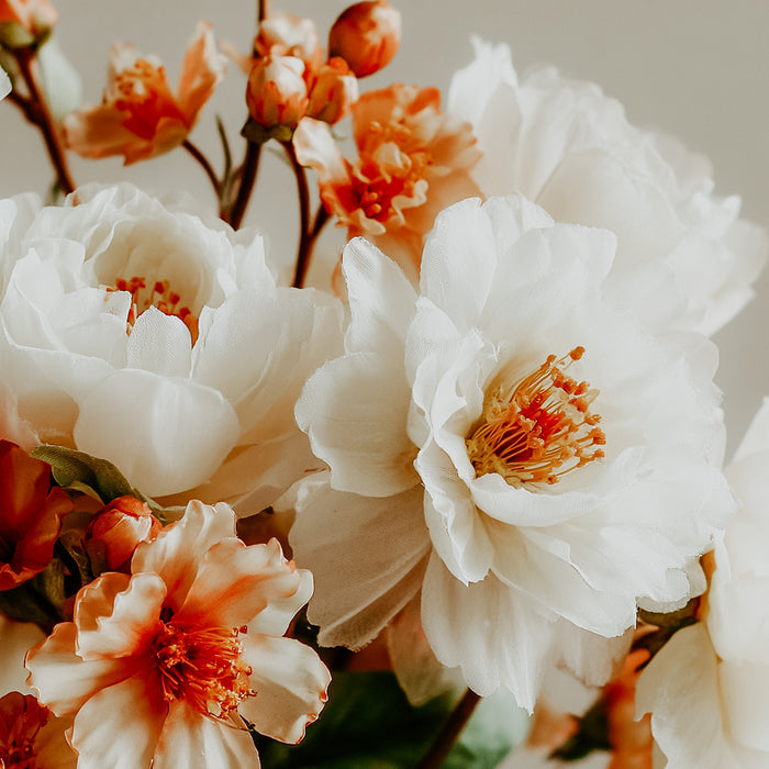 Close-up of white and peach-colored flowers with a blurred background