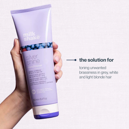 silver shine conditioner mini