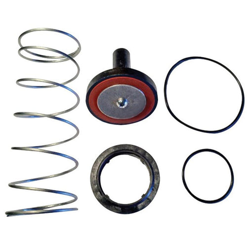 Single Check Repair Kit