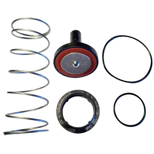 Single Check Repair Kit
