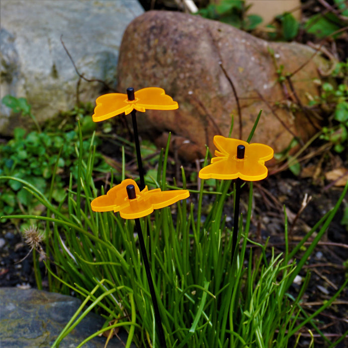 fluorescent Orange