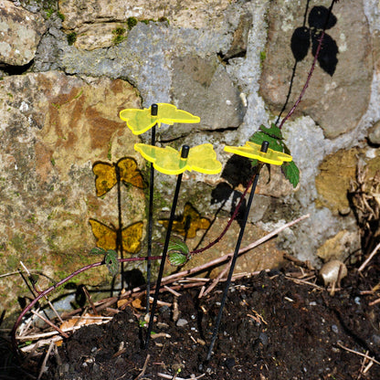 fluorescent Yellow