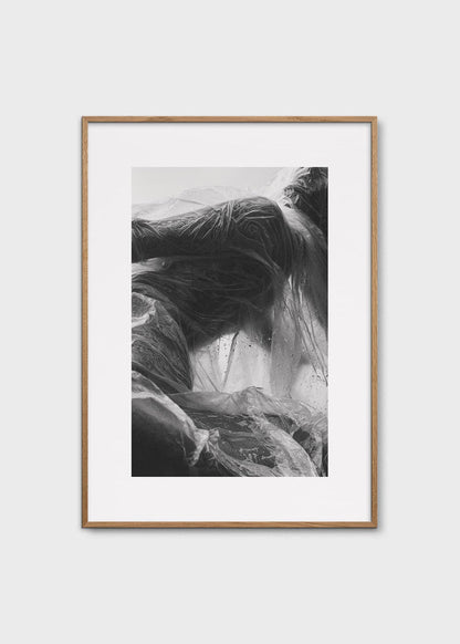 Solitude by Alium Gallery