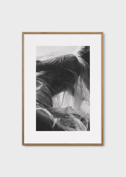 Solitude by Alium Gallery