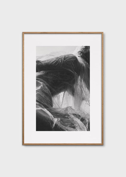 Solitude by Alium Gallery