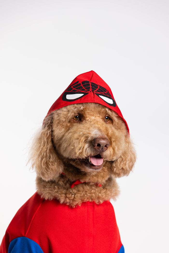 Spawderman