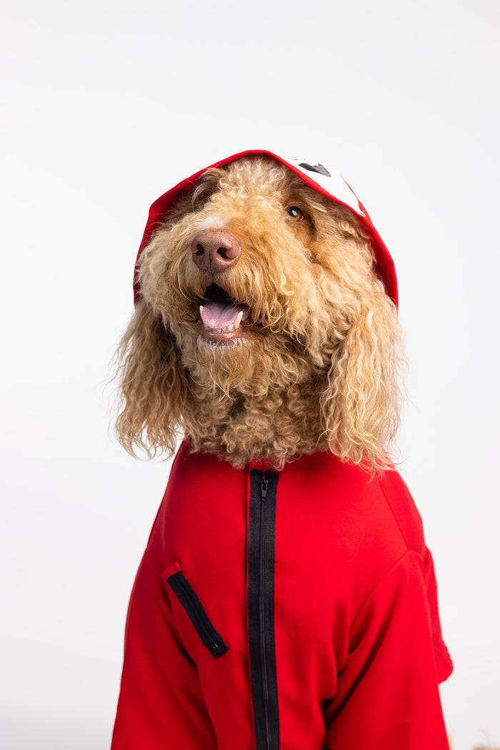 Tokio Paw Pet Custome