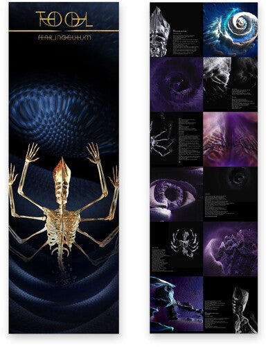 Tool Fear Inoculum 3-LP