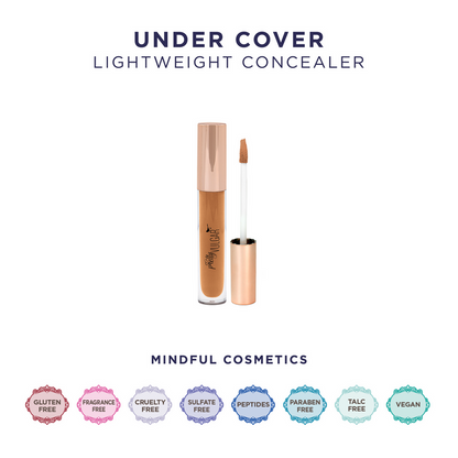 Under Cover Concealer | Pretty Vulgar