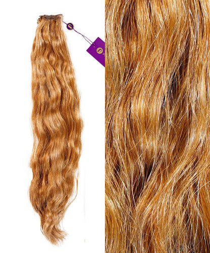 Golden Brown (6) / 20"