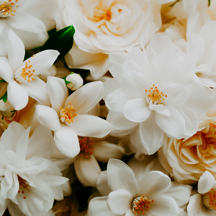 White Flower | Fragrance Oil